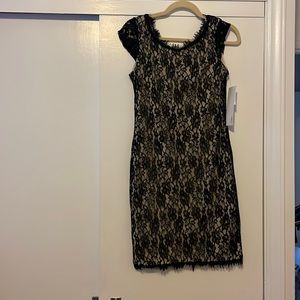 NEW Lapis Black Lace Sheath Dress M